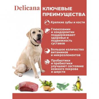 Сухой полнорационный корм Delicana для крупных собак с говядиной