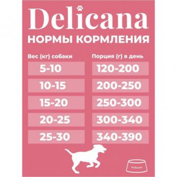 Сухой полнорационный корм Delicana для средних собак с говядиной и овощами