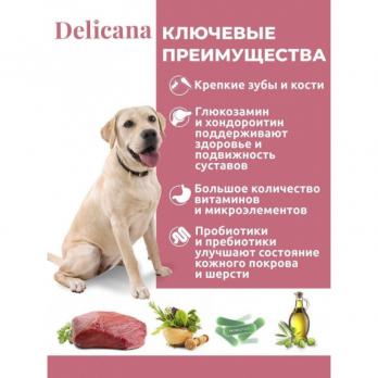 Сухой полнорационный корм Delicana для крупных собак с говядиной и овощами