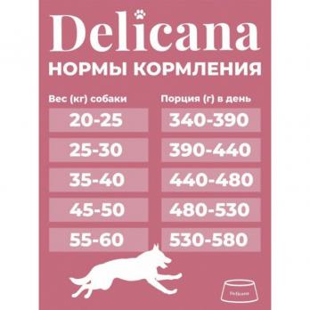 Сухой полнорационный корм Delicana для крупных собак с говядиной и овощами