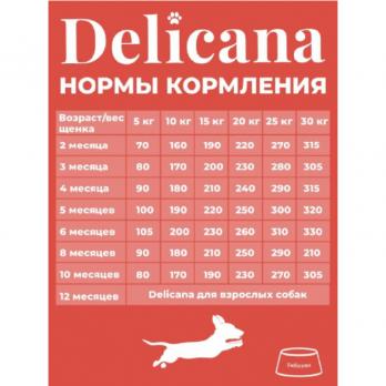 Сухой полнорационный корм Delicana для щенков средних пород с говядиной