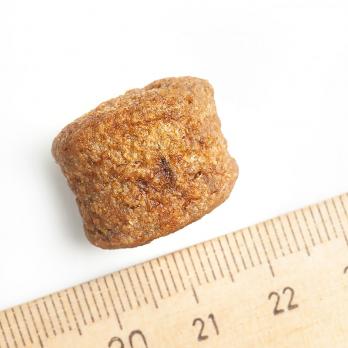 Корм для щенков SHAMAN холистик