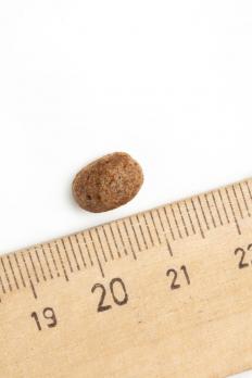 Корм для щенков SHAMAN холистик