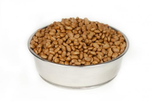 Корм для щенков SHAMAN холистик