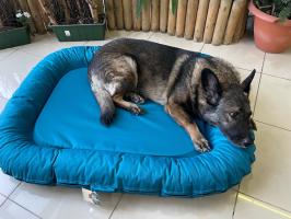 Понтон ГЮ-ВАС «Нептун» антивандальный лежак для собак