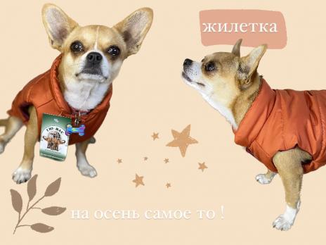 Жилет ГЮ-ВАС «Тиго» для собак