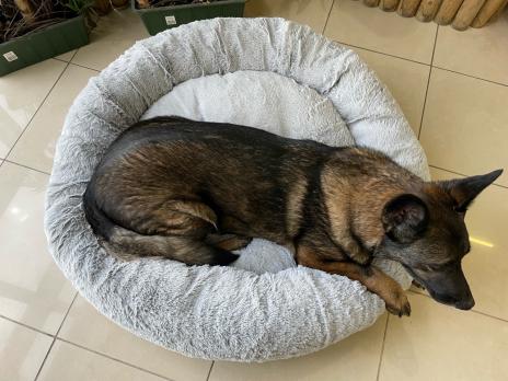 Пуфик ГЮ-ВАС «Лагуна» со съемным чехлом