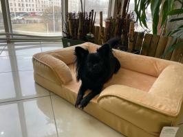 Диван "Маркиз" Гю-Вас для собак и кошек (80*60см) эко-кожа/мех