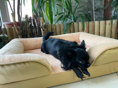 Диван "Маркиз" Гю-Вас для собак и кошек (80*60см) эко-кожа/мех