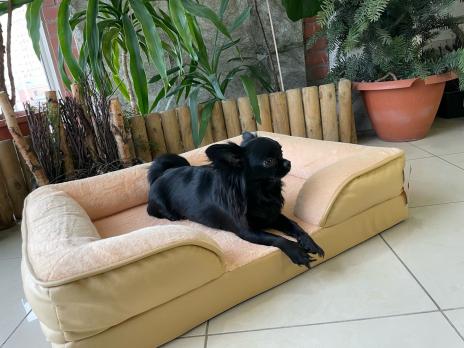 Диван "Маркиз" Гю-Вас для собак и кошек (80*60см) эко-кожа/мех